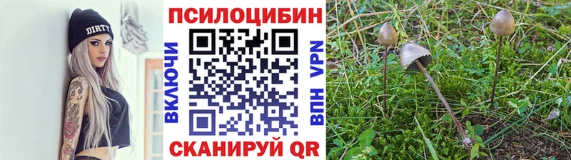 это Telegram  Владивосток  Псилоцибиновые грибы мухоморы  купить наркотик 